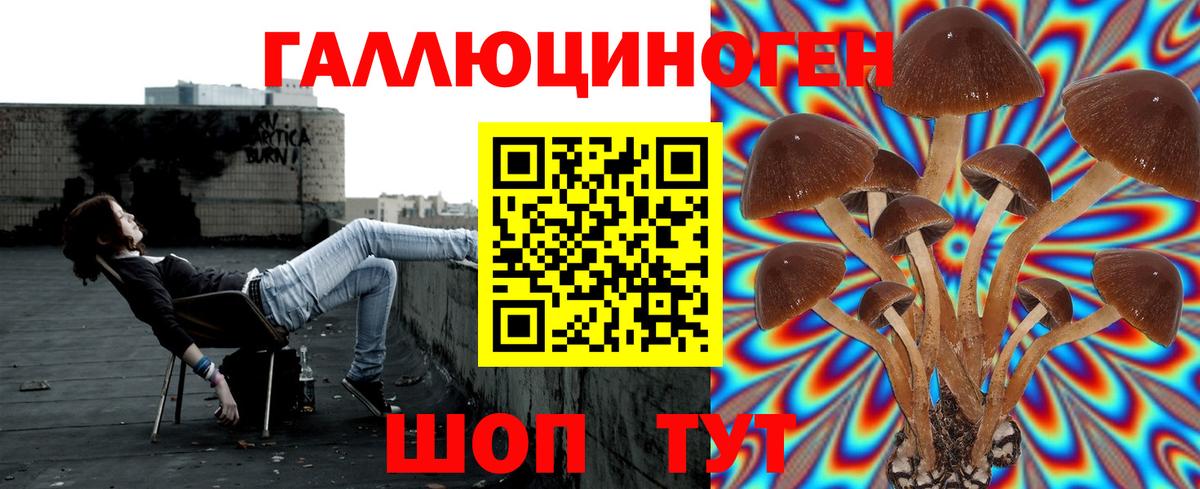 Галлюциногенные грибы мухоморы  Вход с VPN  Тулун 